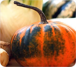 Kürbis