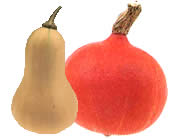 Kuerbissorten