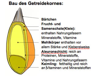 Getreidekorn