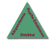 Triade der Gesundheit